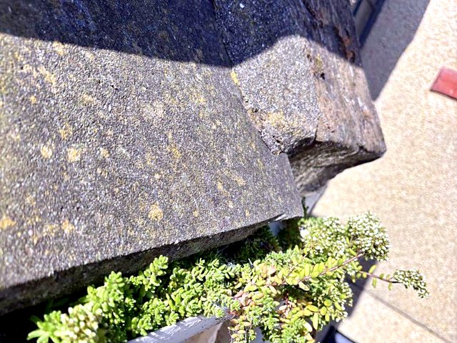Gutter before cleaning, job 5