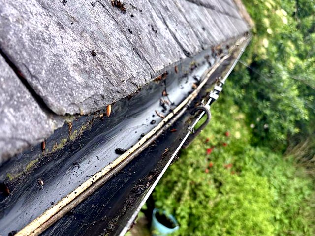 Gutter after cleaning, job 7