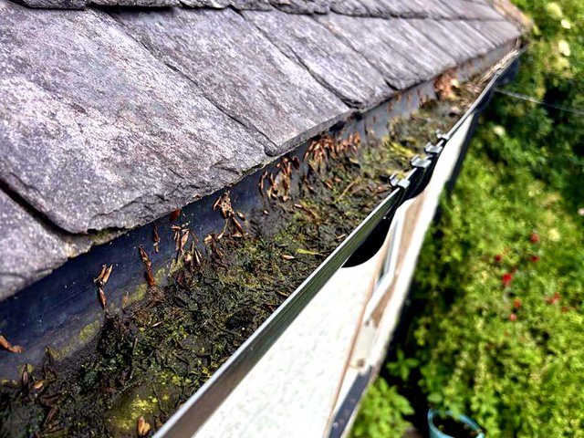 Gutter before cleaning, job 7